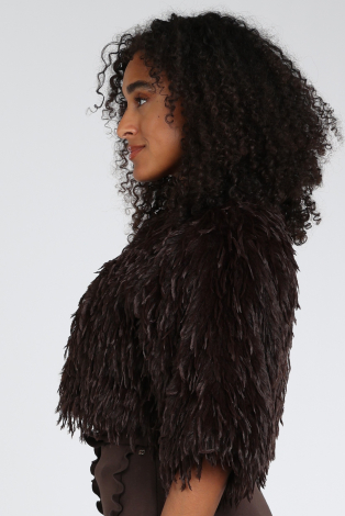 Vera Mont 0446-4042 Bruin