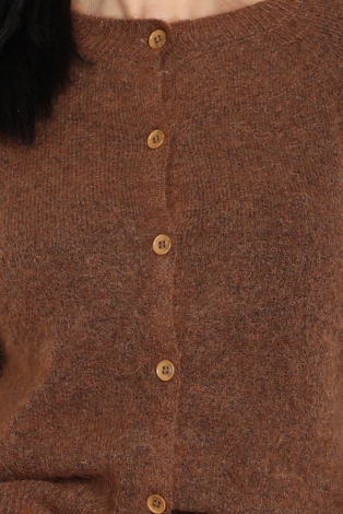 WithBlack 00001846 Bruin