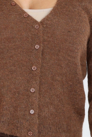 Aimée the label Haarlem Cardigan Bruin