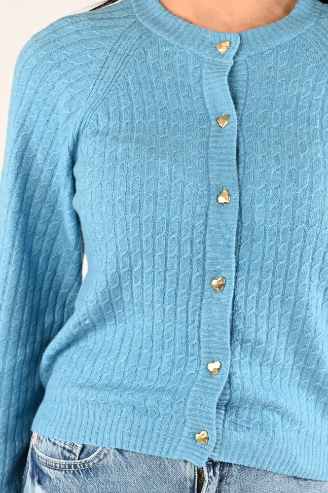 Fabienne Chapot CLT-CAR-03-AW24-3 Vest Blauw