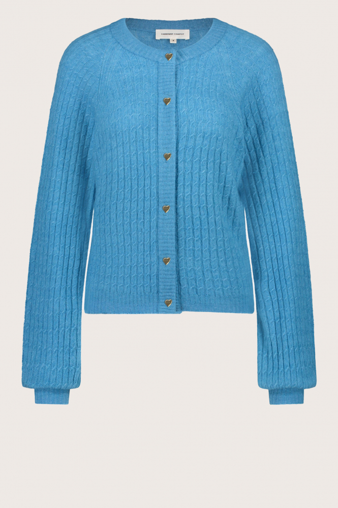Fabienne Chapot CLT-CAR-03-AW24-3 Vest Blauw