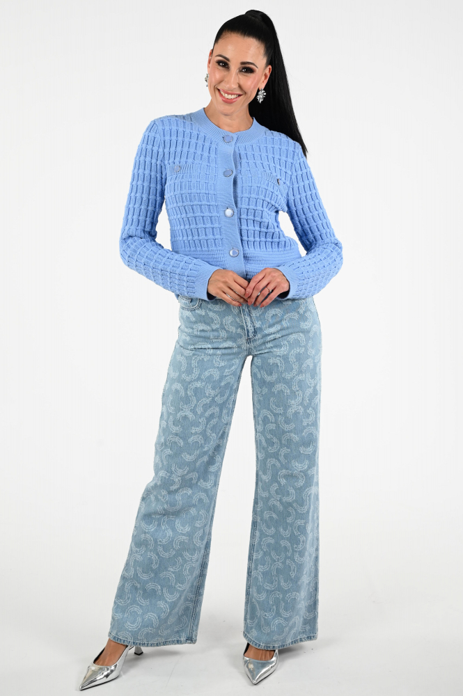 Fabienne Chapot CLTCAR05AW253349 Vest Blauw