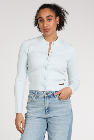 Moscow Ros 39-10 Blauw