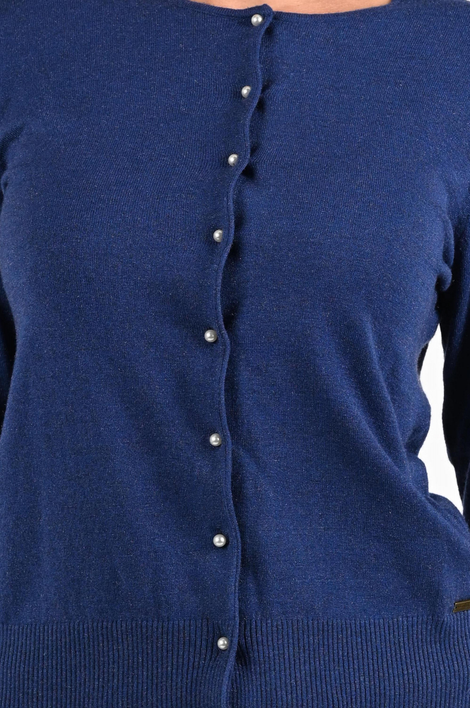 Roberto sarto 531253 Vest Blauw
