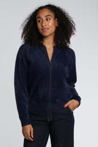 Frank walder 109351 Blauw