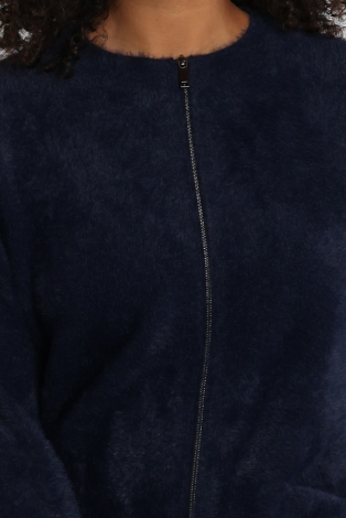 Frank walder 109351 Blauw