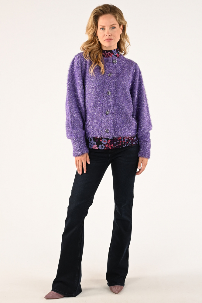 Fabienne Chapot CLT-58-CAR-AW23 Vest Paars
