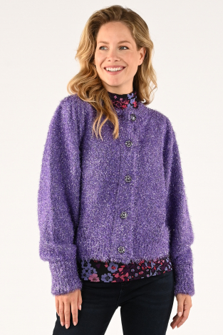 Fabienne Chapot CLT-58-CAR-AW23 Paars