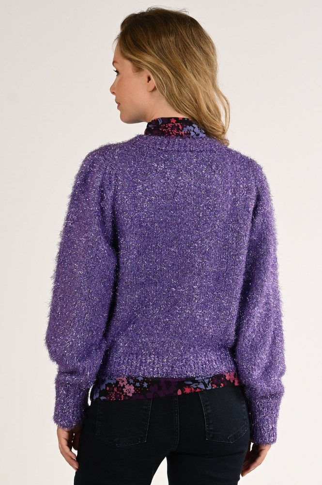 Fabienne Chapot CLT-58-CAR-AW23 Vest Paars