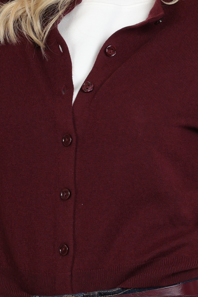 MaxMara Nebbia mm12050 Vest Rood