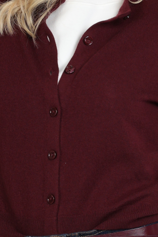 MaxMara Nebbia mm12050 Rood