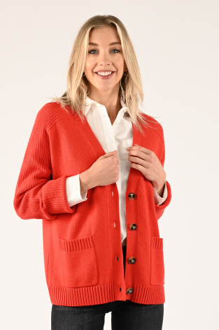 Emotions 235038 Rood