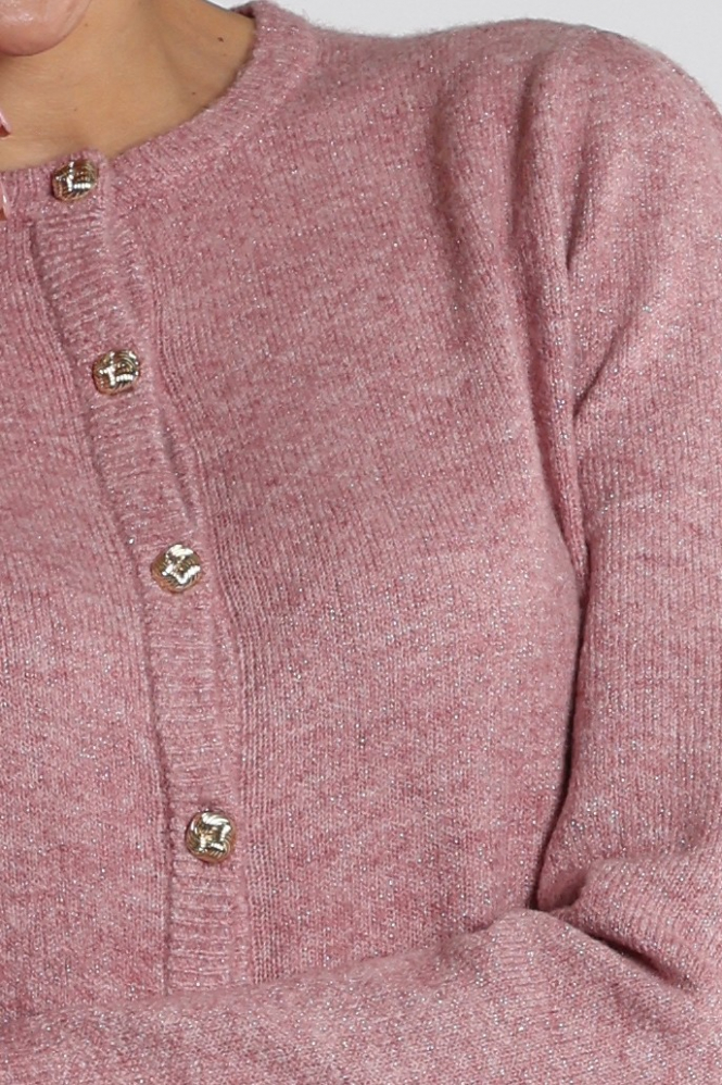 Emotions 226104L Vest Roze