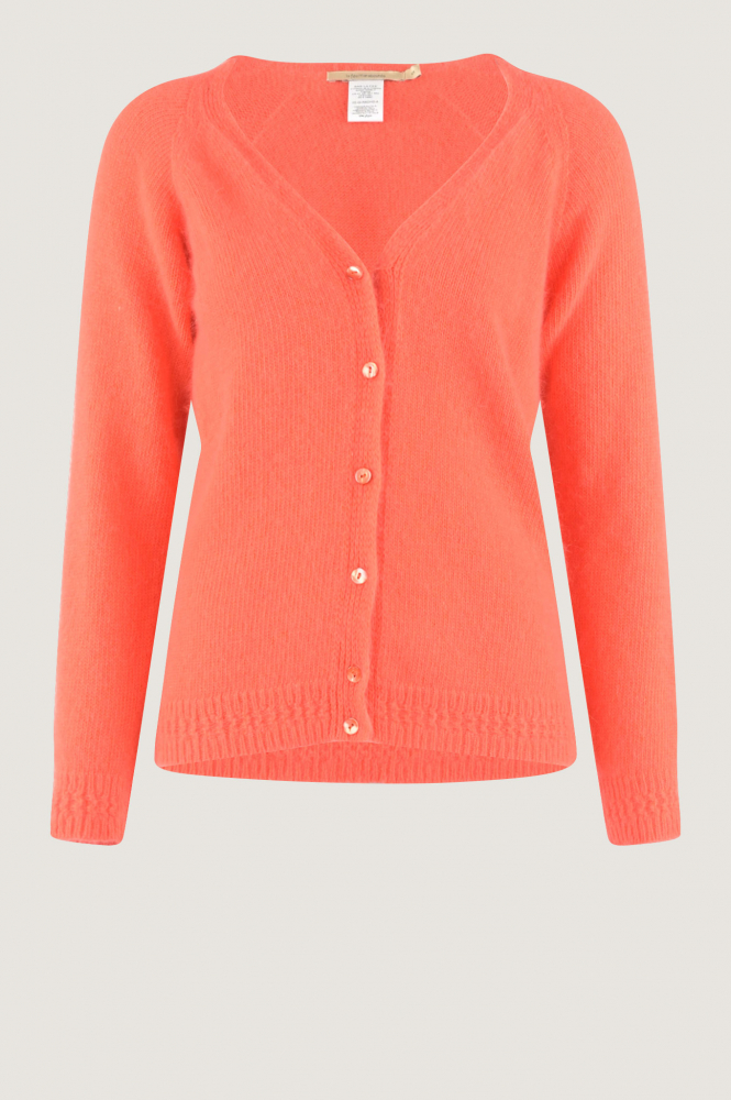 La Fee Maraboutee fegi rachid-a Vest Rood