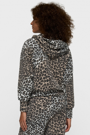 10 Days 20-853-6201 Bruin