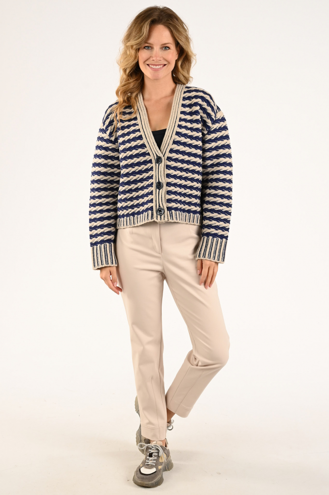 Ivko 232710 Vest Blauw