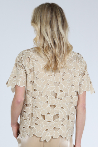 Nukus NKS01181 Bruin