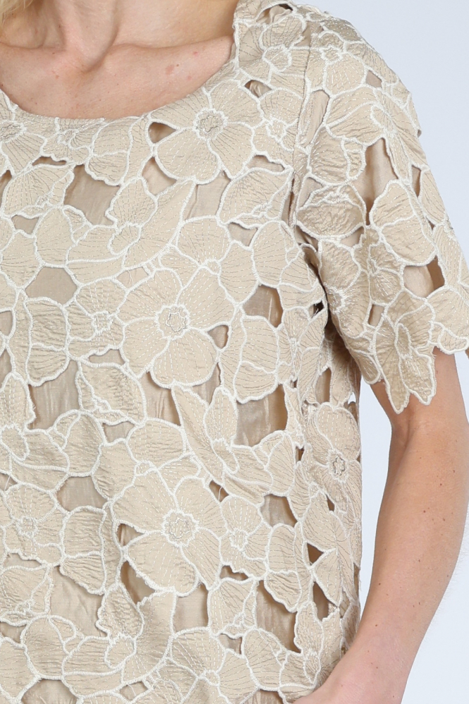 Nukus NKS01181 Blouse korte mouw Bruin