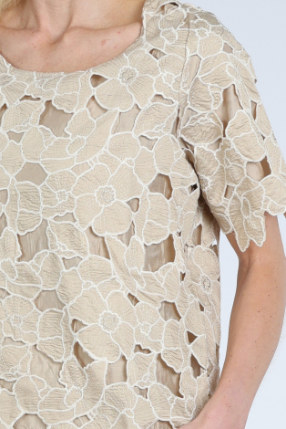 Nukus NKS01181 Bruin