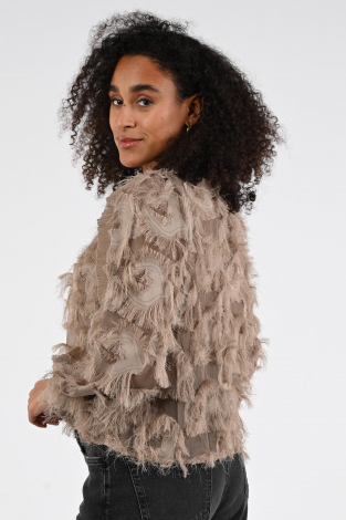 Co'couture 35978 SyraCC Bruin