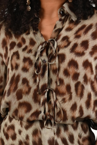 Luisa Cerano 228599-3769 Bruin