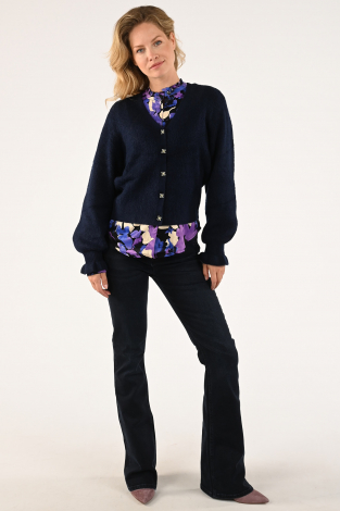 Fabienne Chapot CLT-46-BLS-AW23 Paars