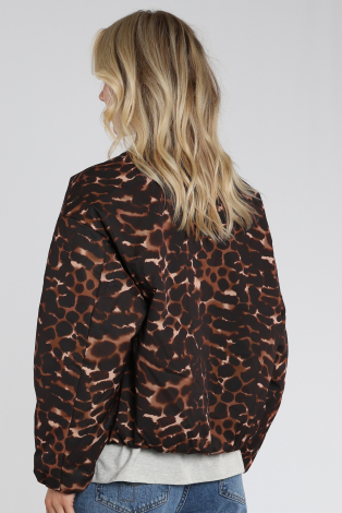 Fabienne Chapot CLTCTS09AW260284 Bruin