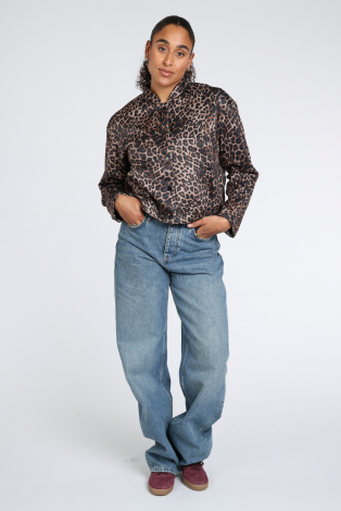 Oui 0100826 Bruin