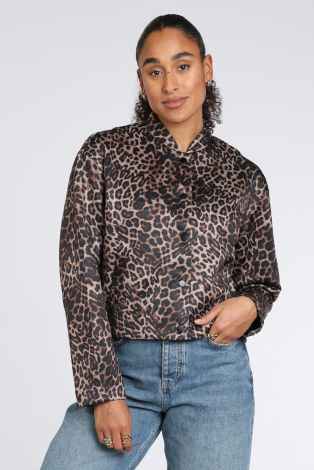 Oui 0100826 Bruin