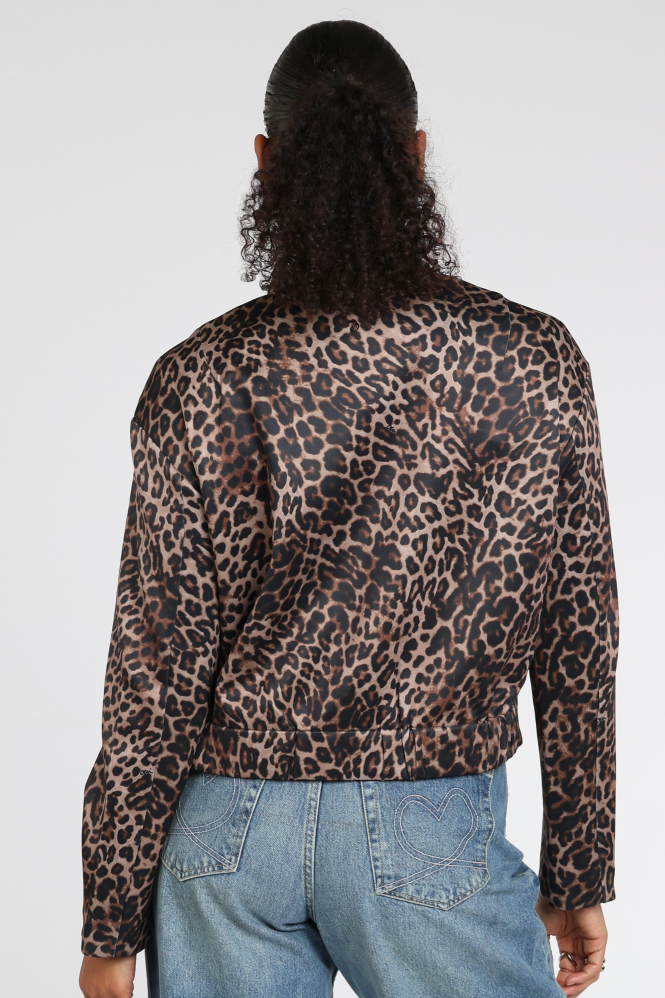 Oui 0100826 Bomber Bruin
