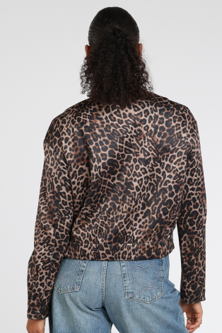 Oui 0100826 Bruin