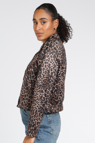 Oui 0100826 Bruin