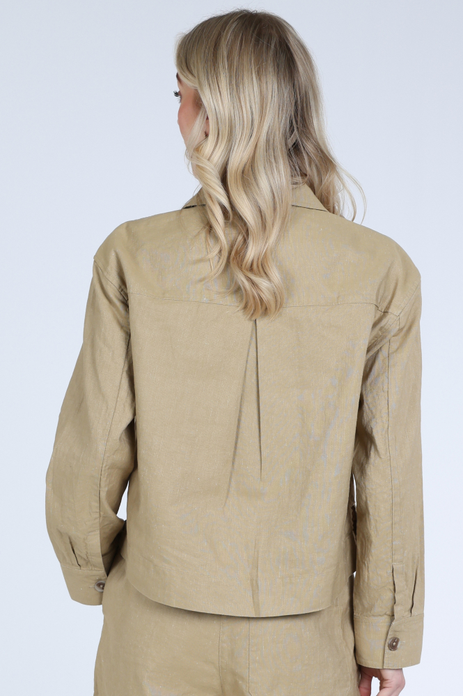 Knit-Ted 261p101 joan Blazer Bruin