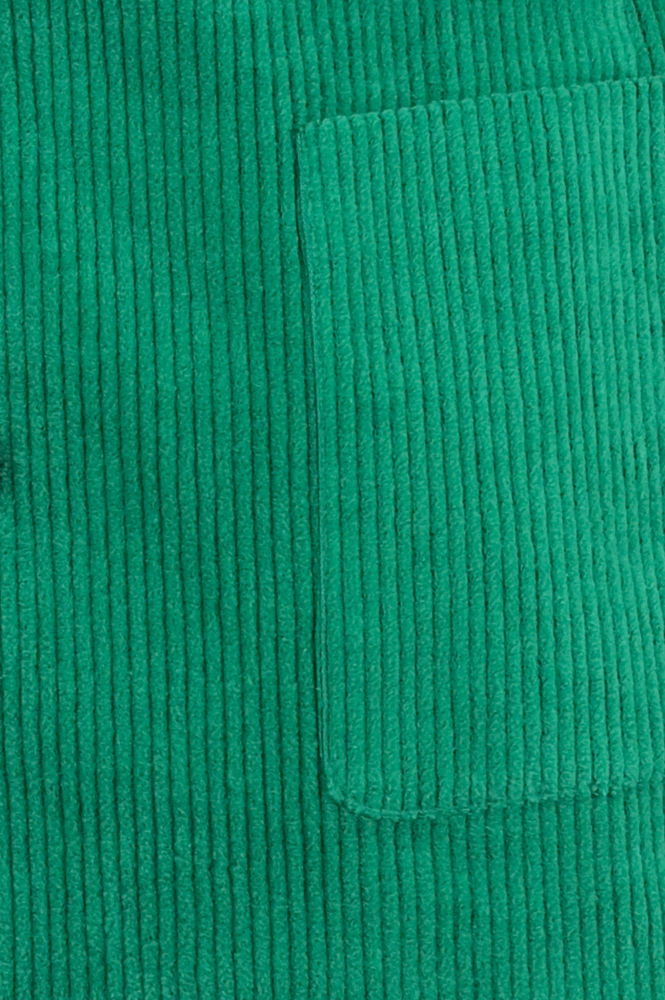 Fabienne Chapot CLT-03-BLA-AW23 Blazer Groen