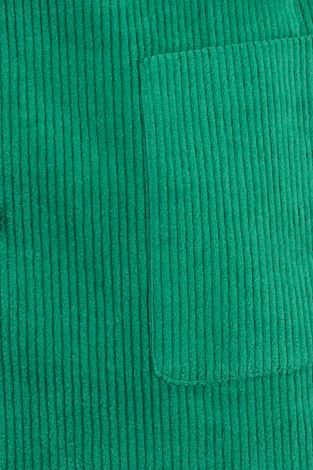 Fabienne Chapot CLT-03-BLA-AW23 Groen