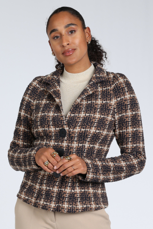 ML Collections 81155 Bruin