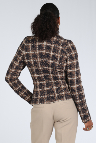 ML Collections 81155 Bruin