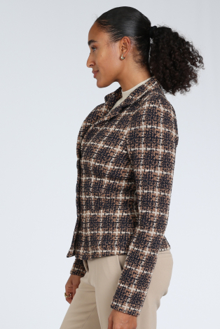 ML Collections 81155 Bruin