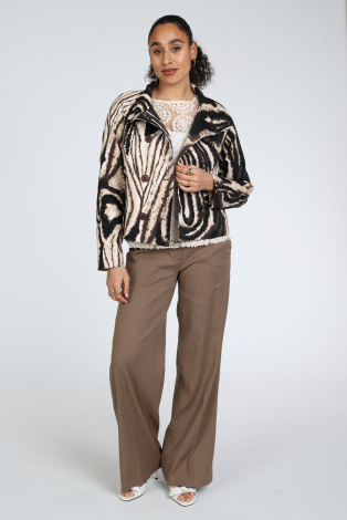 Cambio mira 8003029800 Bruin