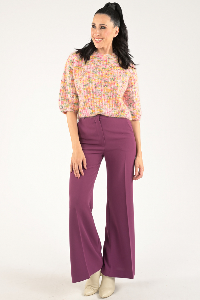 MaxMara ovada mm10327 Broek Paars