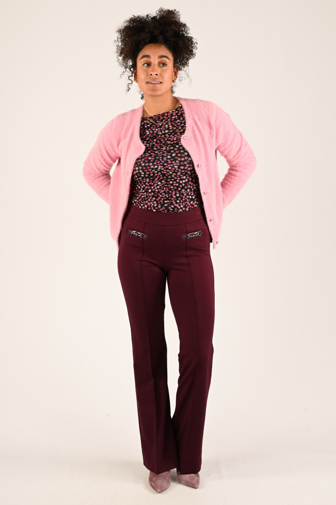 Cambio Francis Broek Paars
