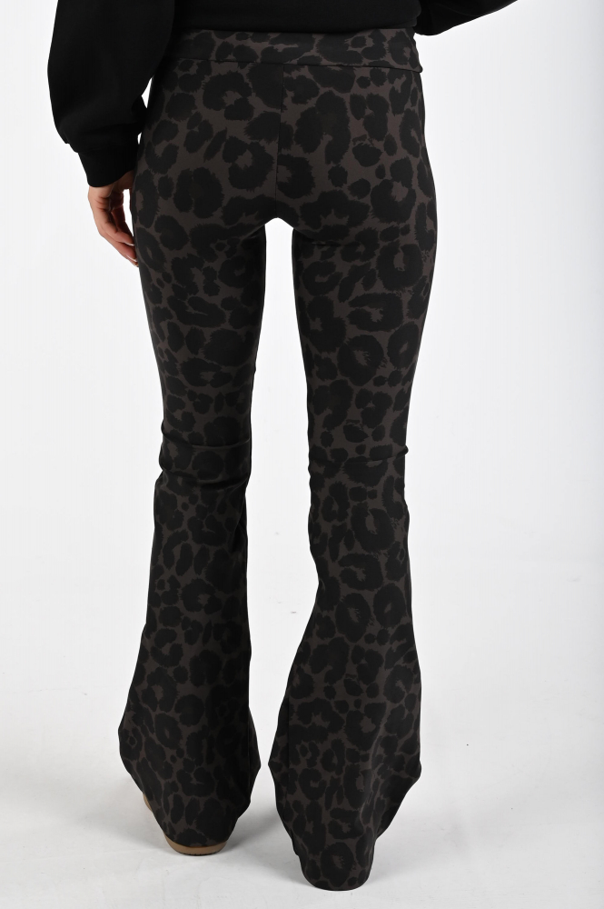 Deblon Seline xflared Broek Bruin