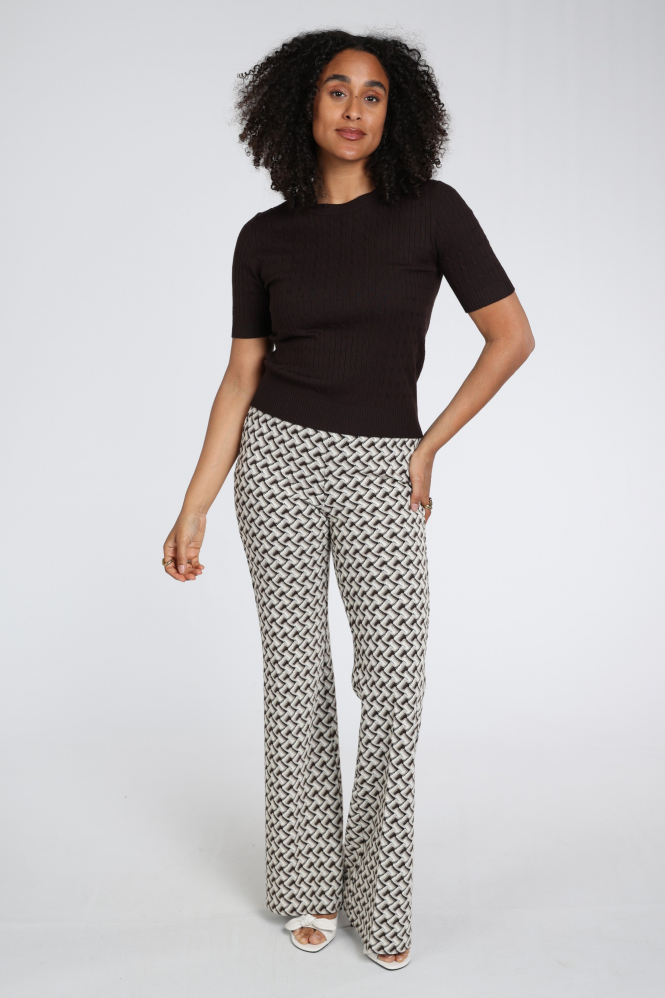 Cambio Francis Broek Bruin