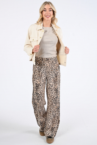 Geisha 51232-20 Beige