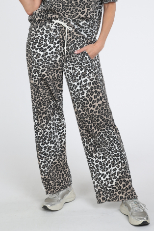 10 Days 20-013-6201 Bruin