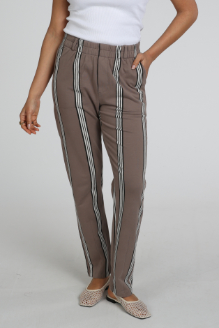 10 Days 20-015-6202 Bruin