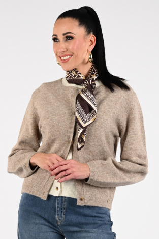 Ornella shawl Bruin