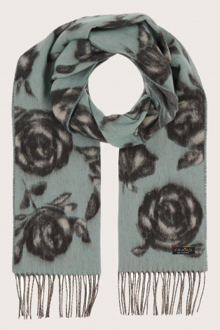 Fraas 641015 Groen