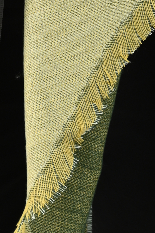Fraas 642009 Groen