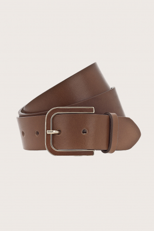 Vanzetti V5817A6398 Bruin